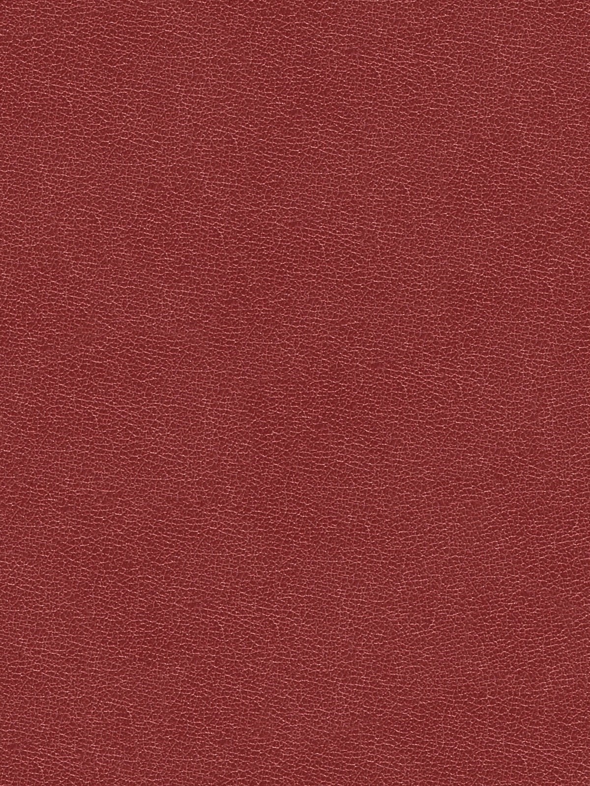 Moleskin